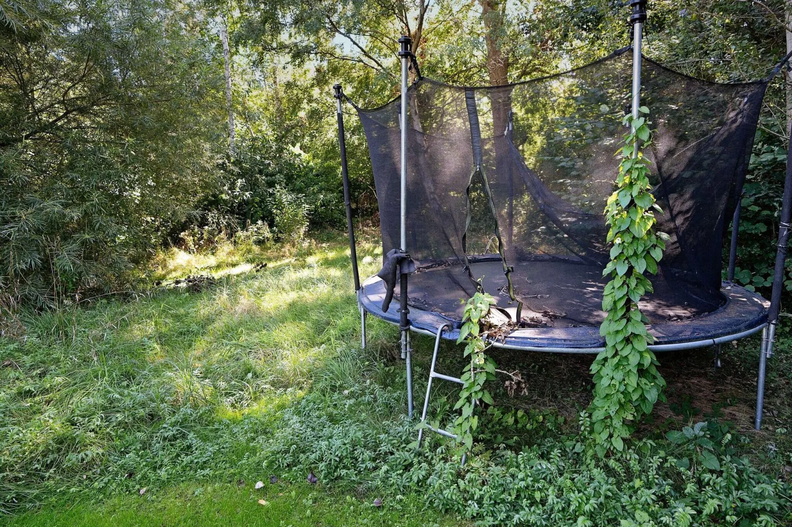 7 persoons vakantie huis in Jægerspris-By Traum-Uitzicht