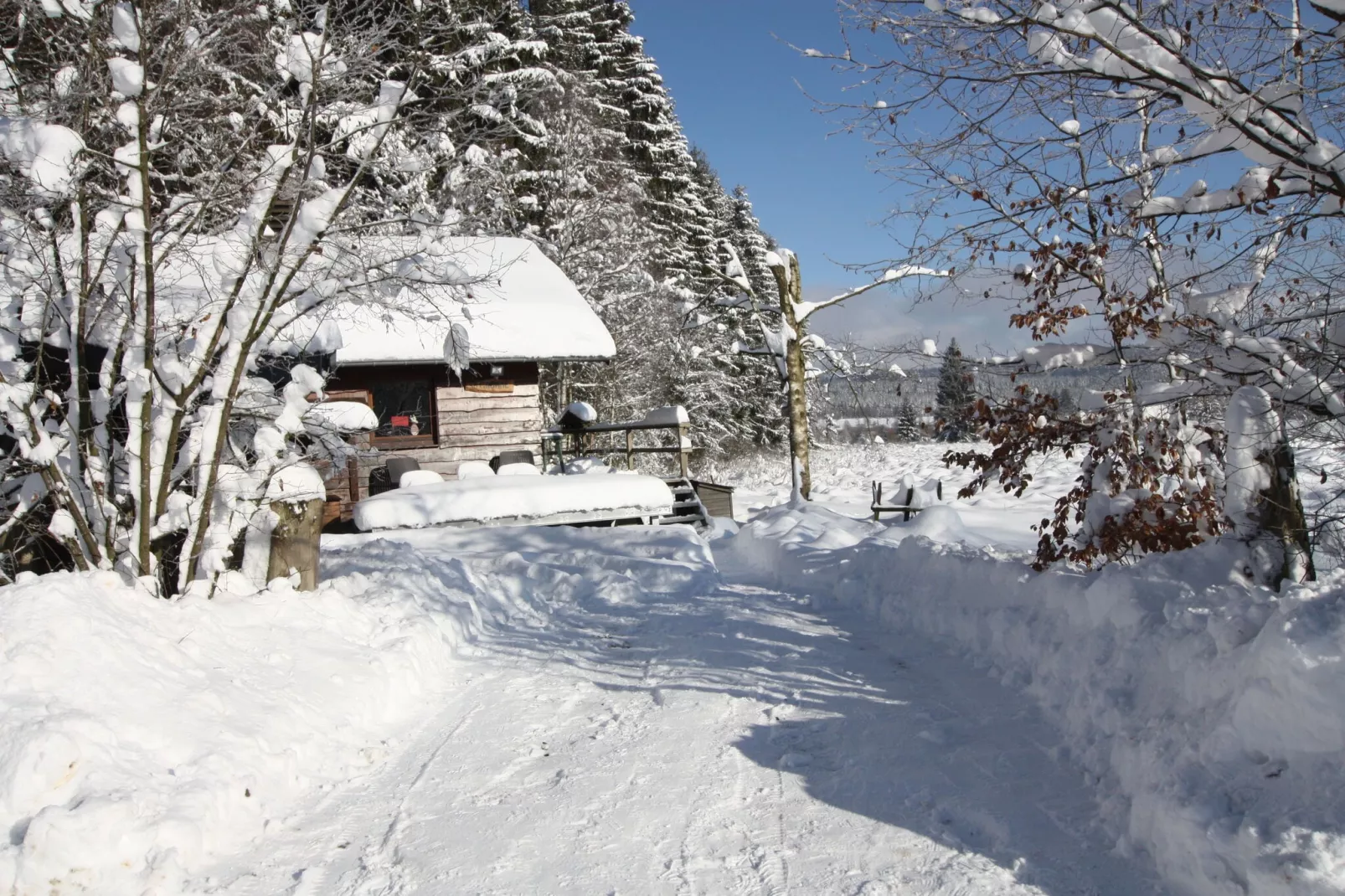 La Cabane-Exterieur winter