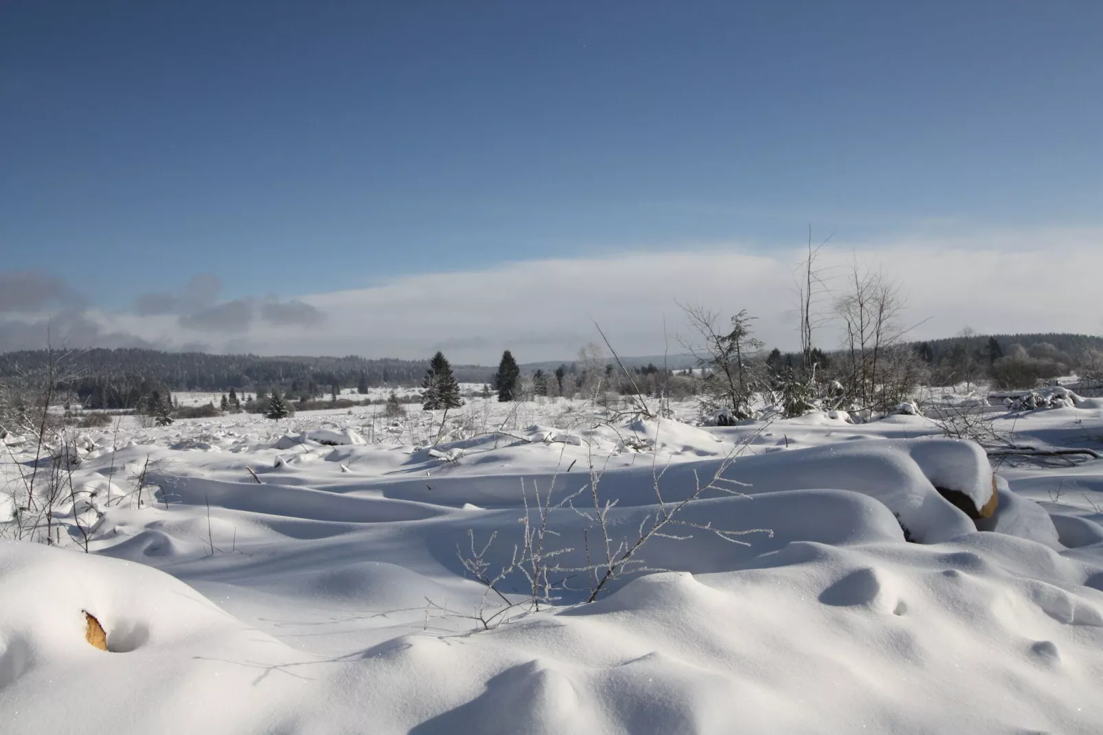 La Cabane-Exterieur winter