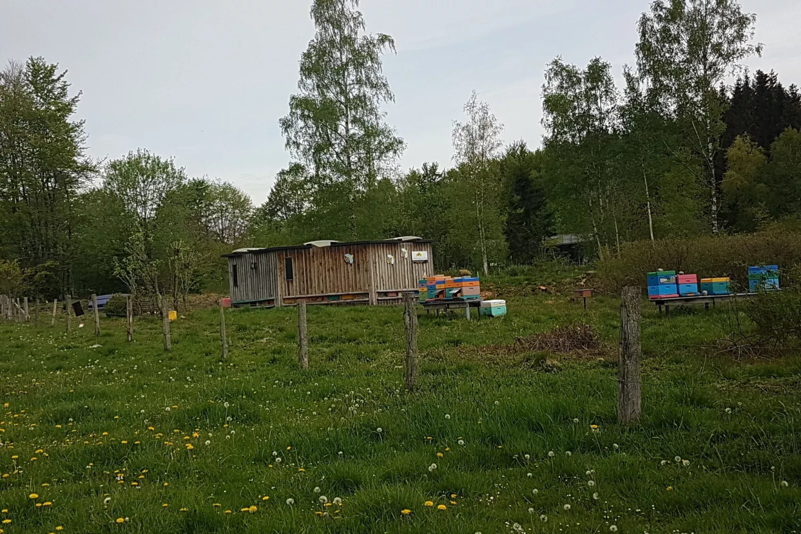 La Cabane-Gebieden zomer 1km