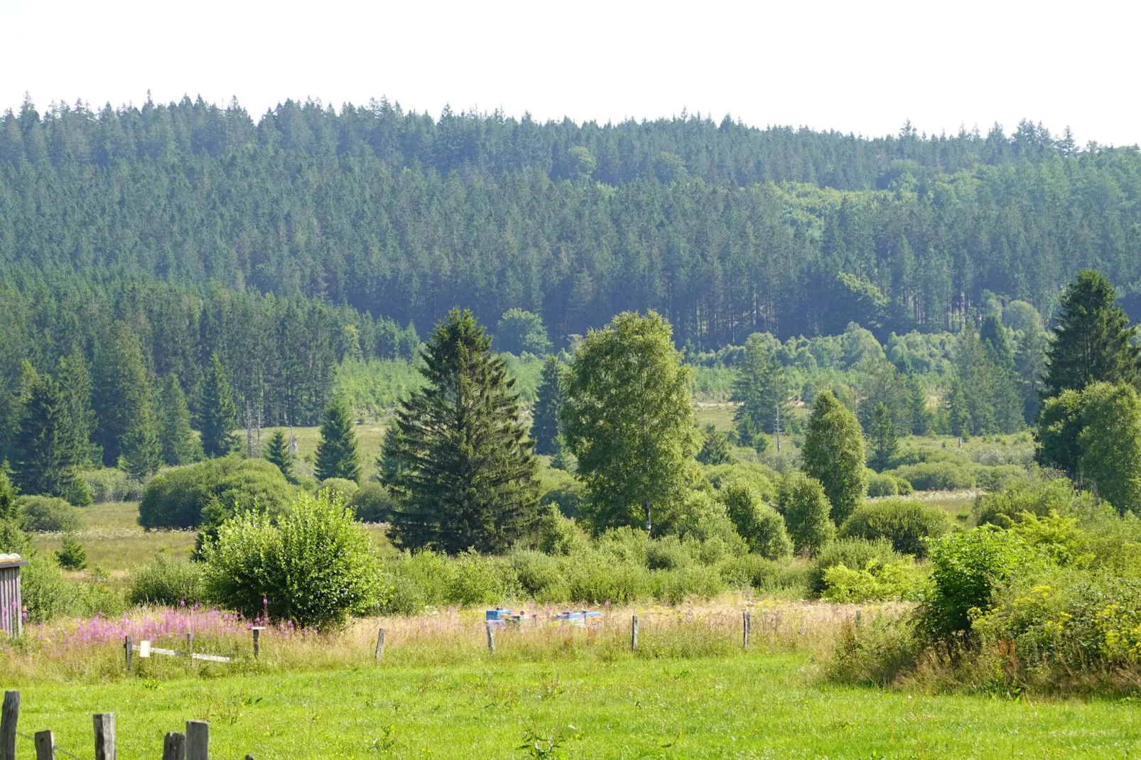 La Cabane-Gebieden zomer 1km