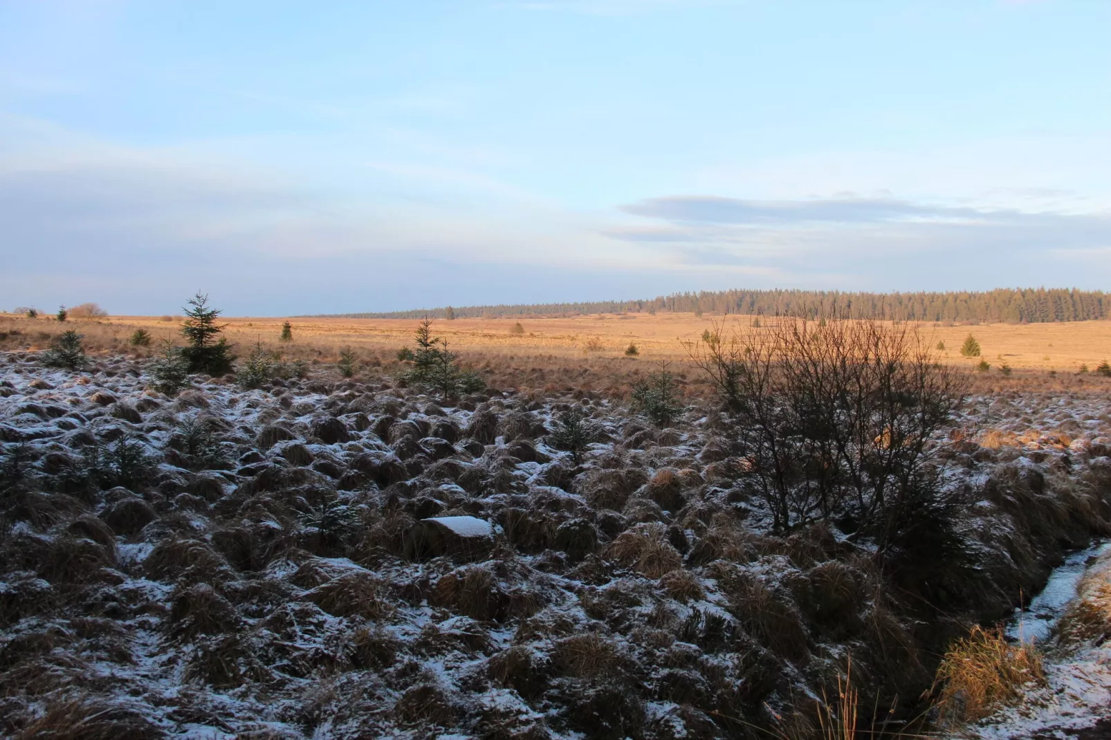 La Cabane-Gebied winter 1km