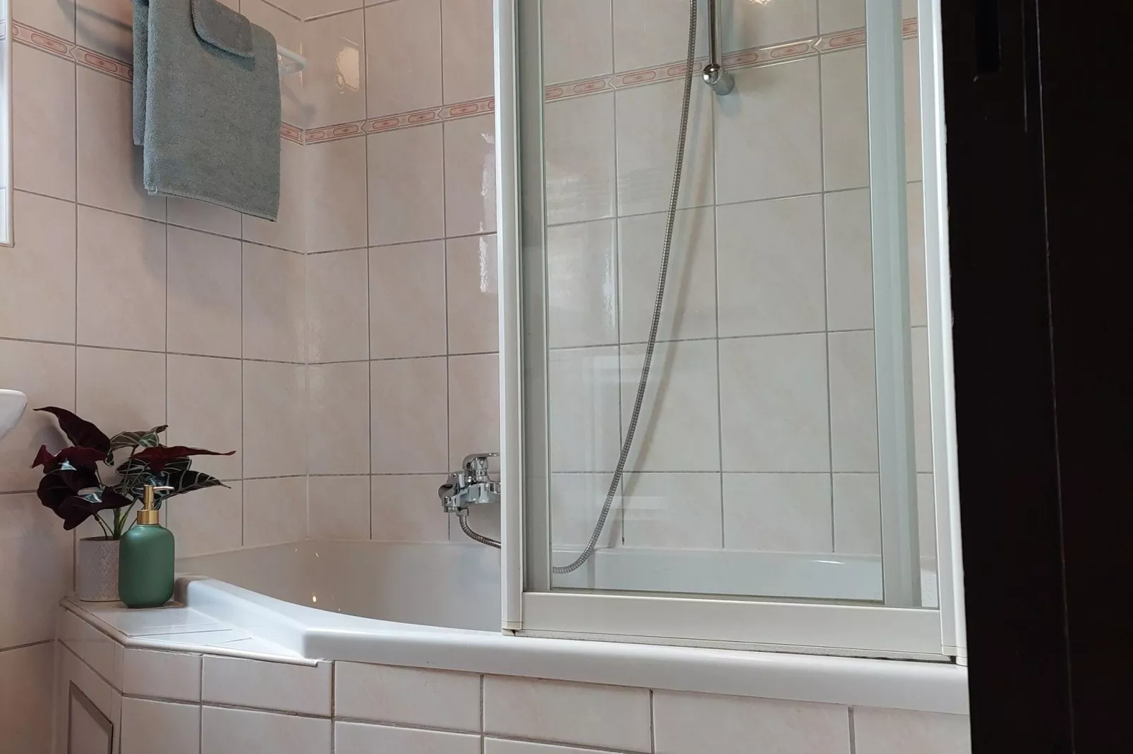 Fijne vakantiewoning in Hastière met een tuin-Badkamer