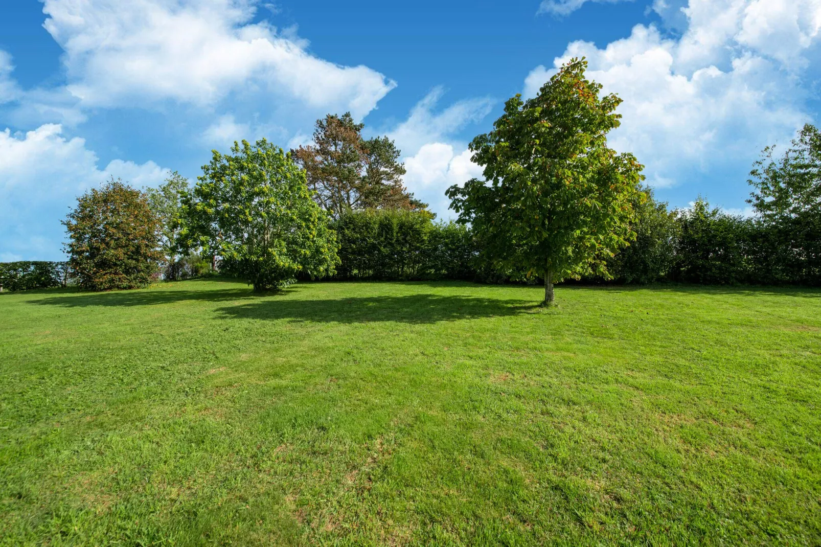 Le sommet de Mont-Uitzicht zomer