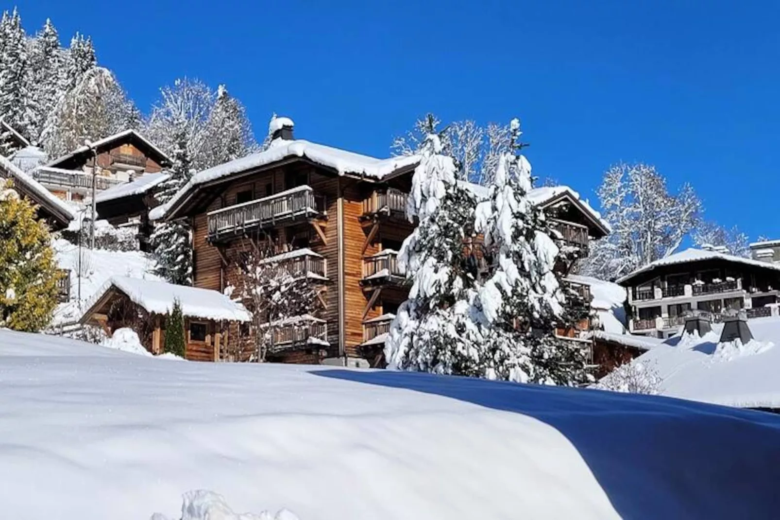 Résidence Appaloosa