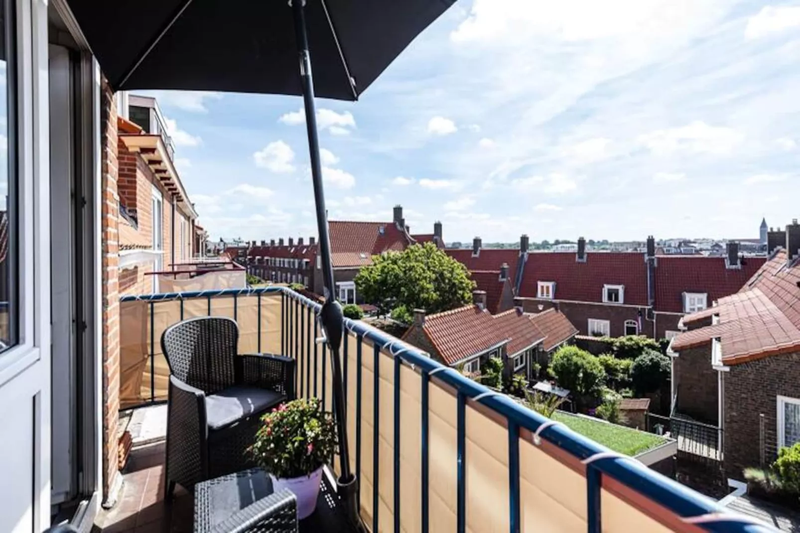 Albatros Aan Zee - Zandvoort