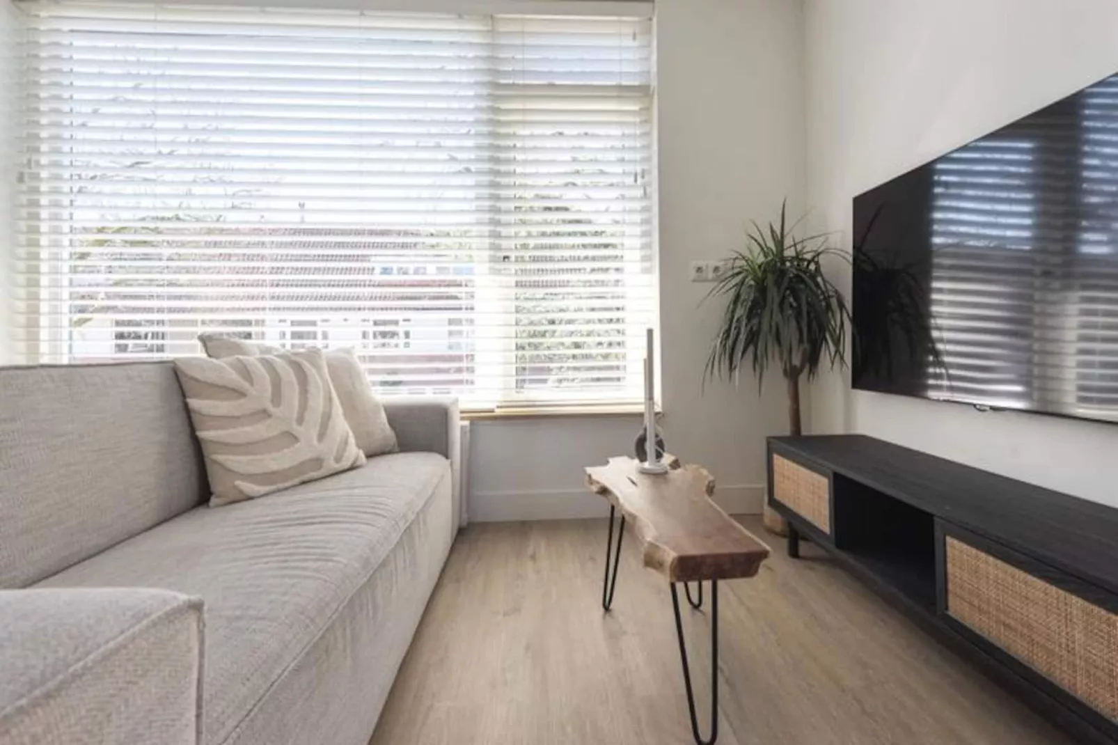 Yucca Apartment - Beachhouse Zandvoort