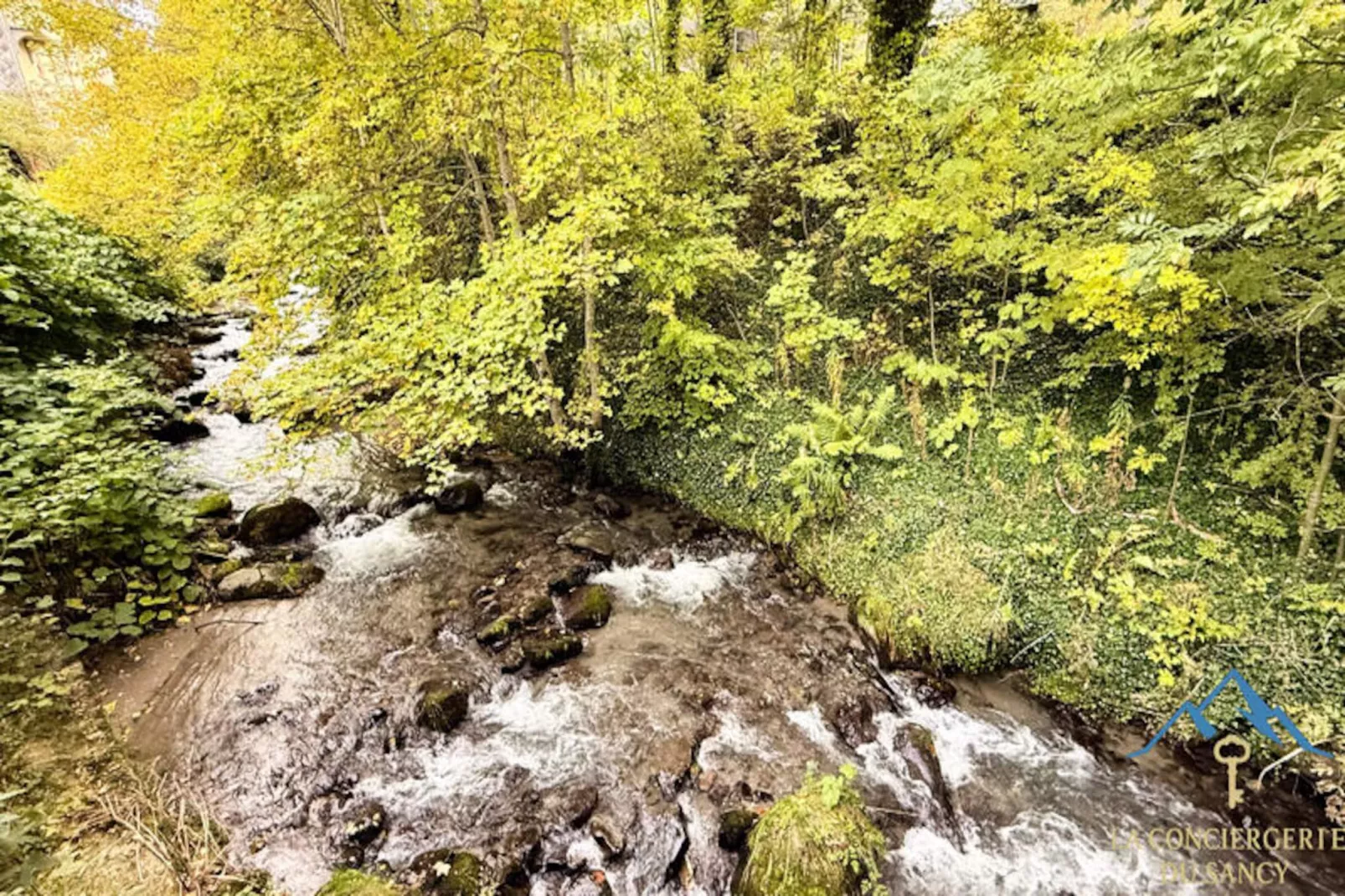 Appartements à Le Mont Dore