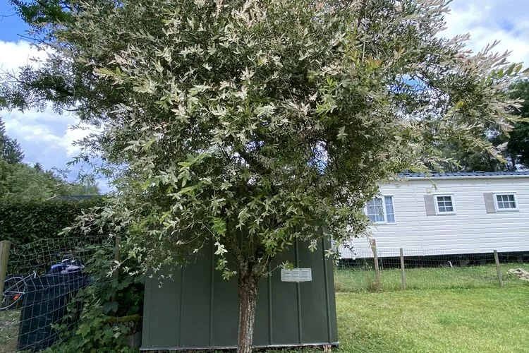 Caravane Blier Domaine de L'aisne-Buitenkant zomer