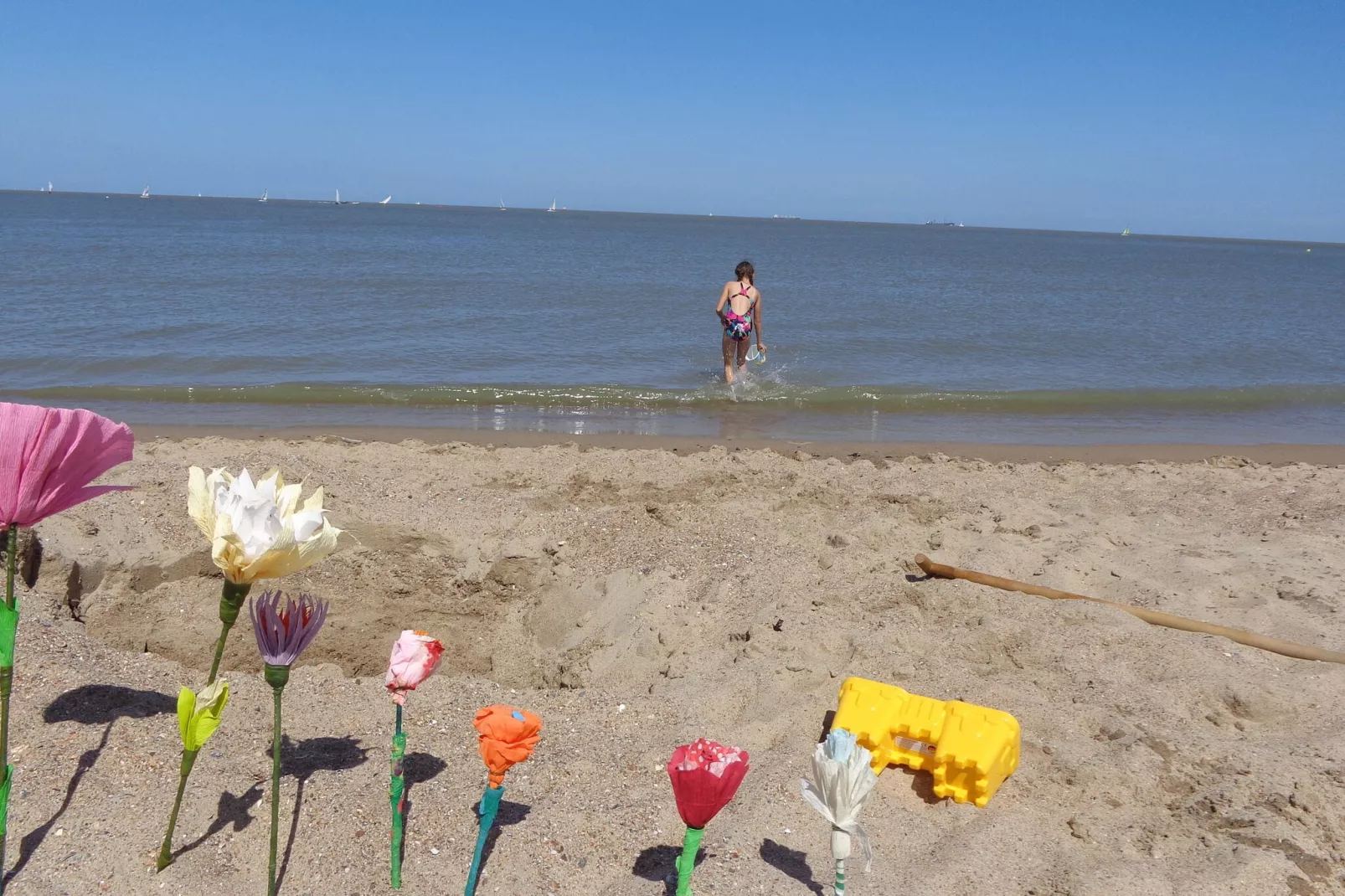 Rosa-Buitenkant zomer