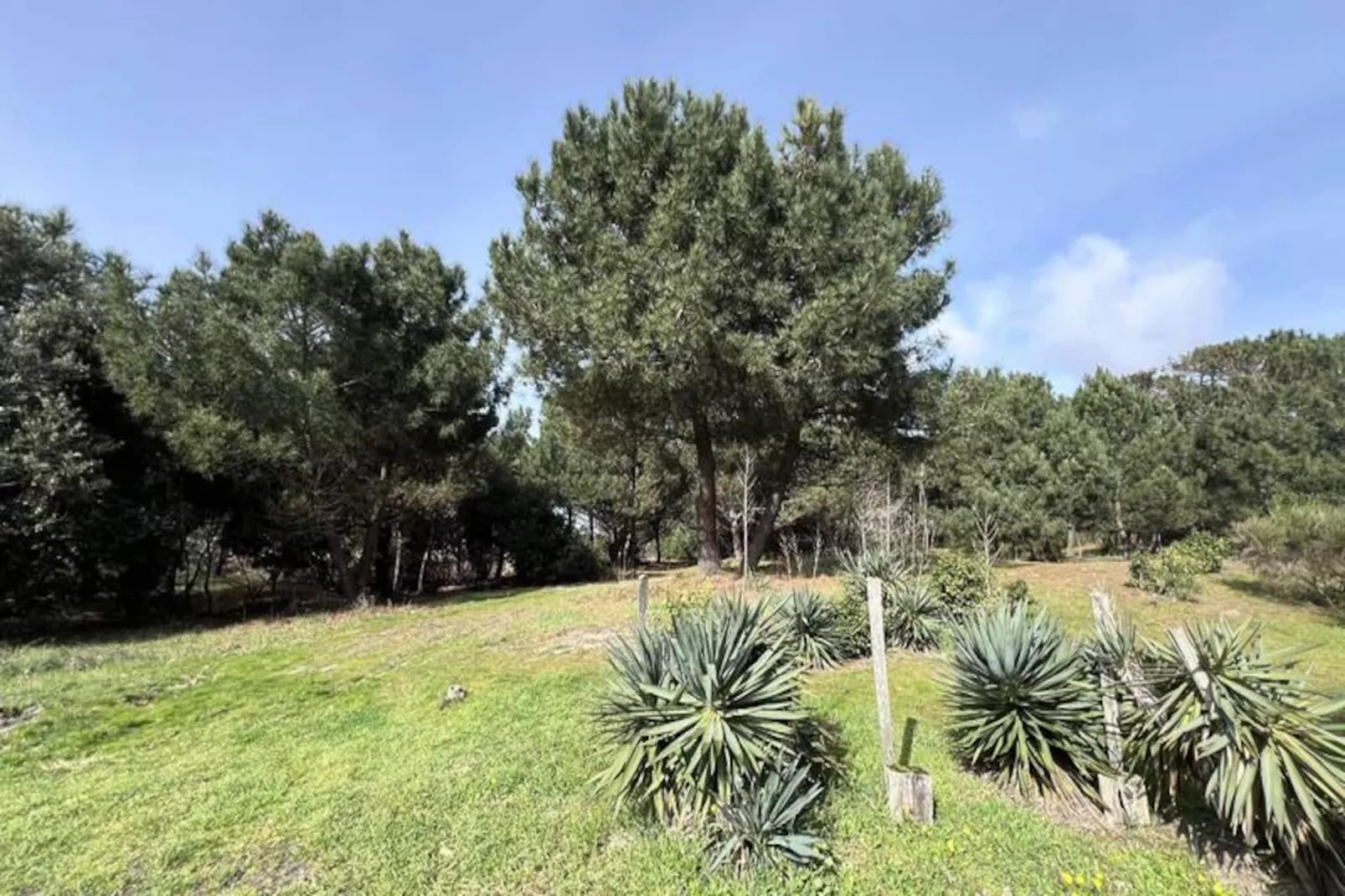 Résidence 058-vendays Montalivet