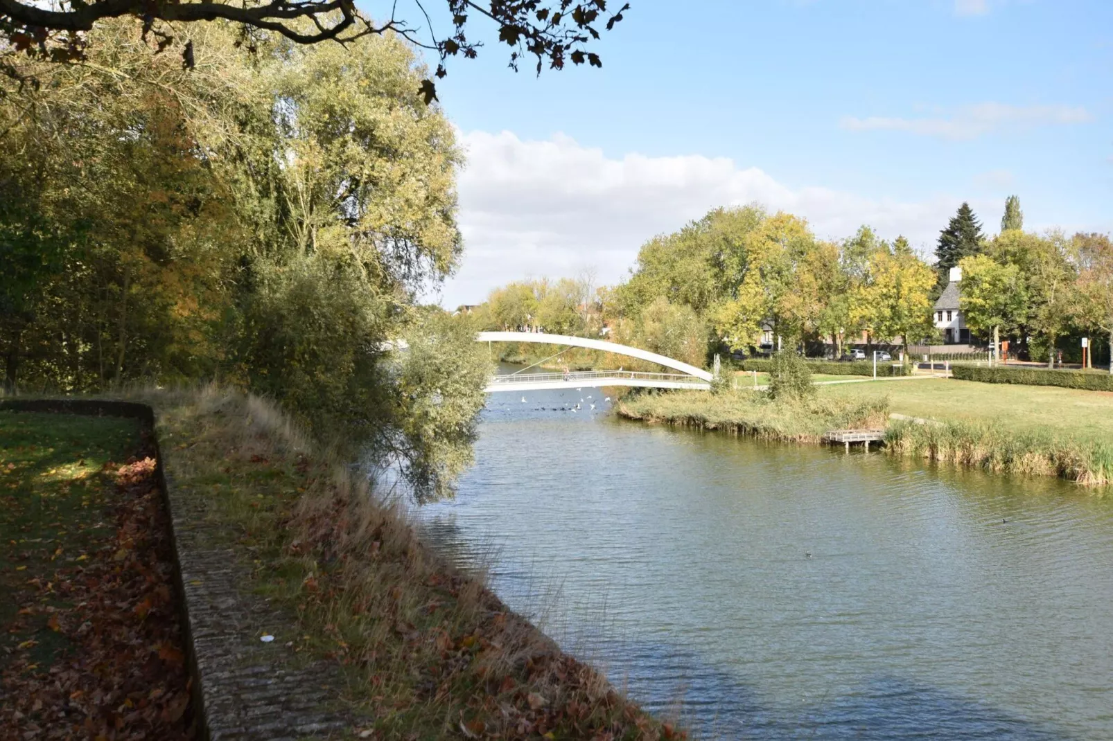 Hommelhove-Gebieden zomer 1km