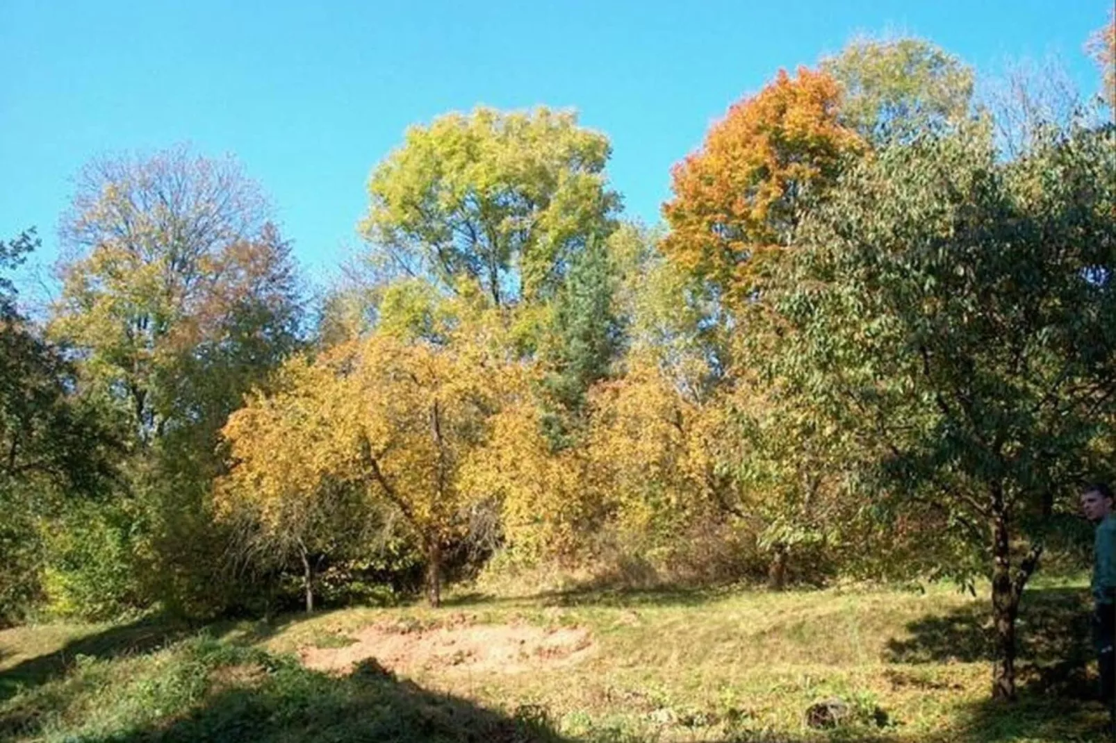 Hoeve Stupna-Gebieden zomer 5km