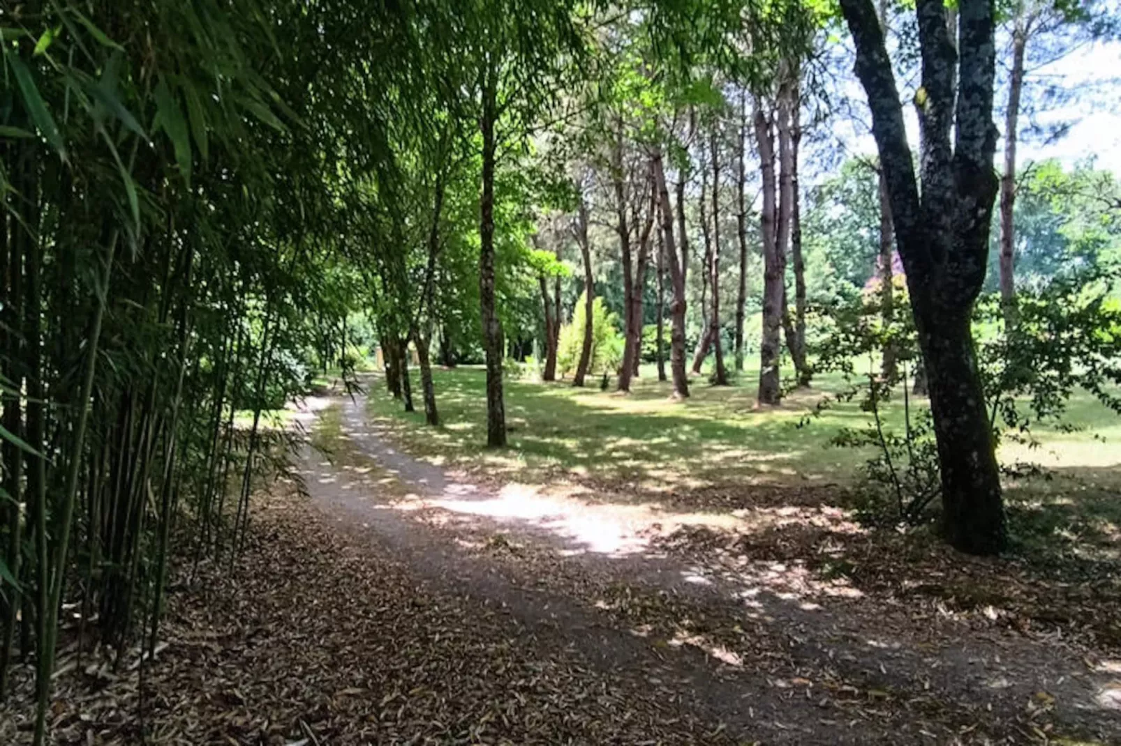 Maison à Rives de l'Yon