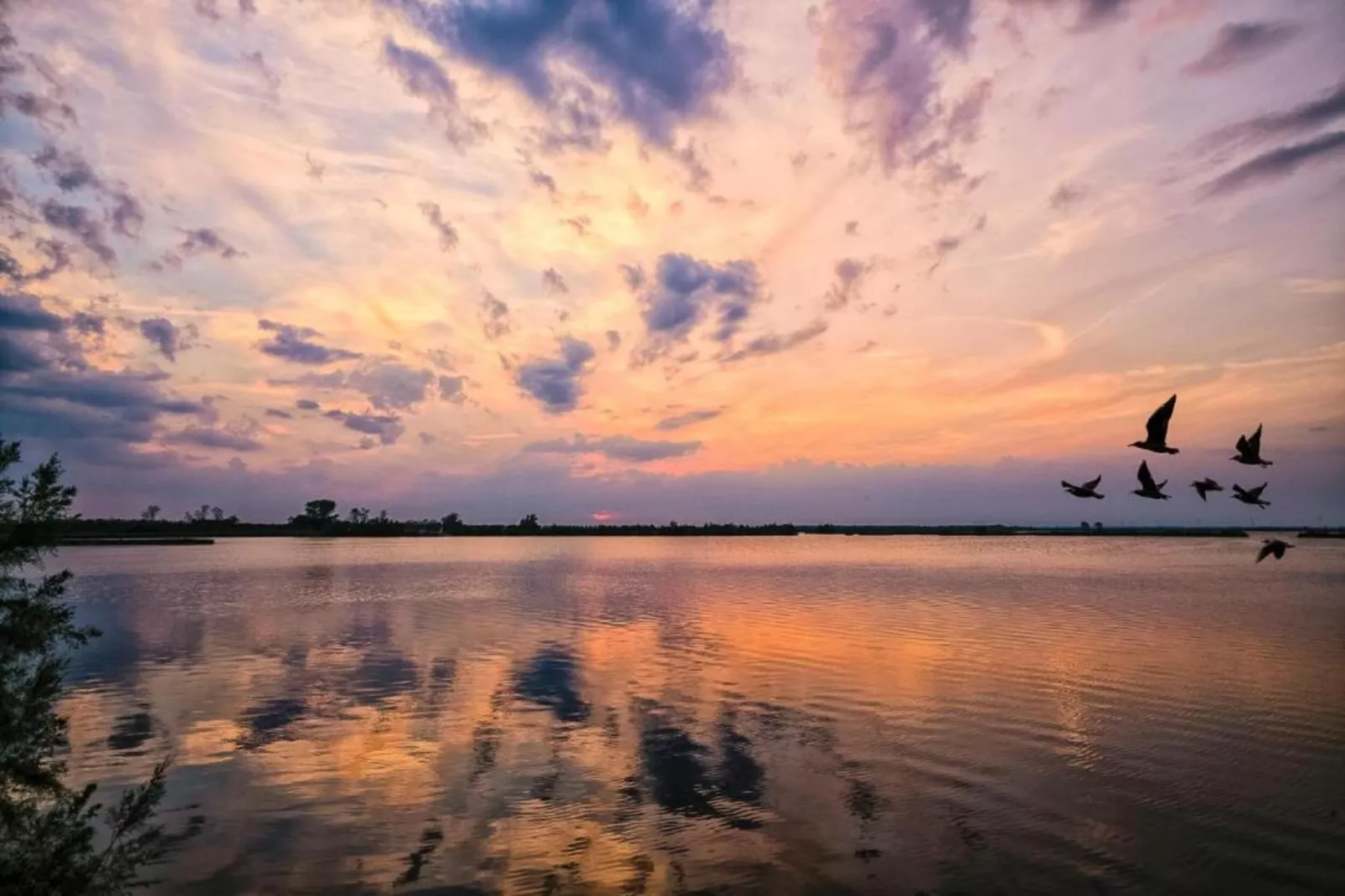 Rasi 1-Gebieden zomer 5km