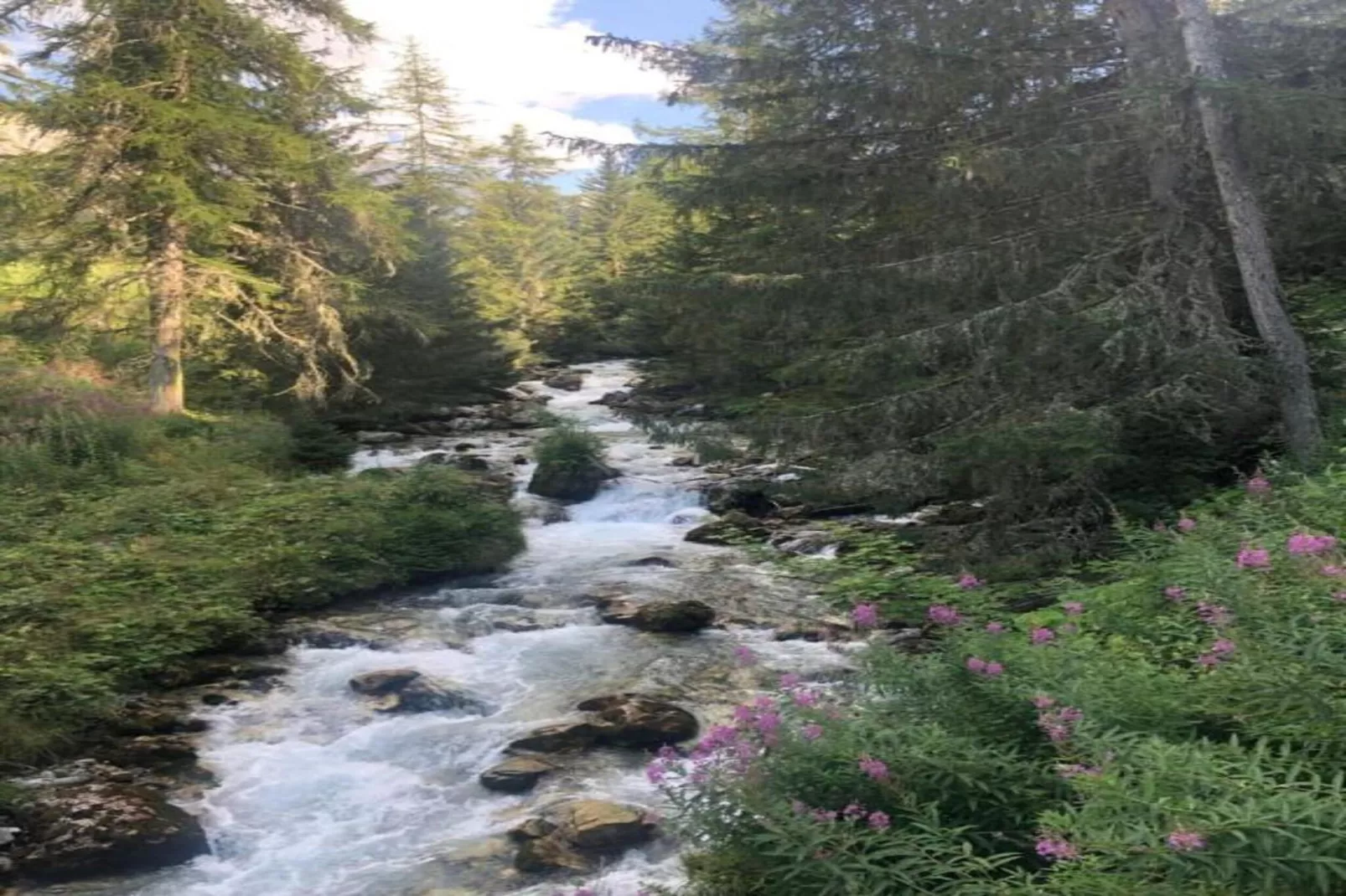 Chalet Ponturin-Gebieden zomer 20km