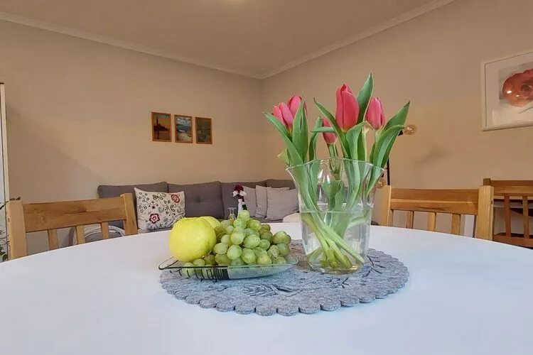 Ostseeurlaub Zur Steinbäck mit Terrasse-Woonkamer