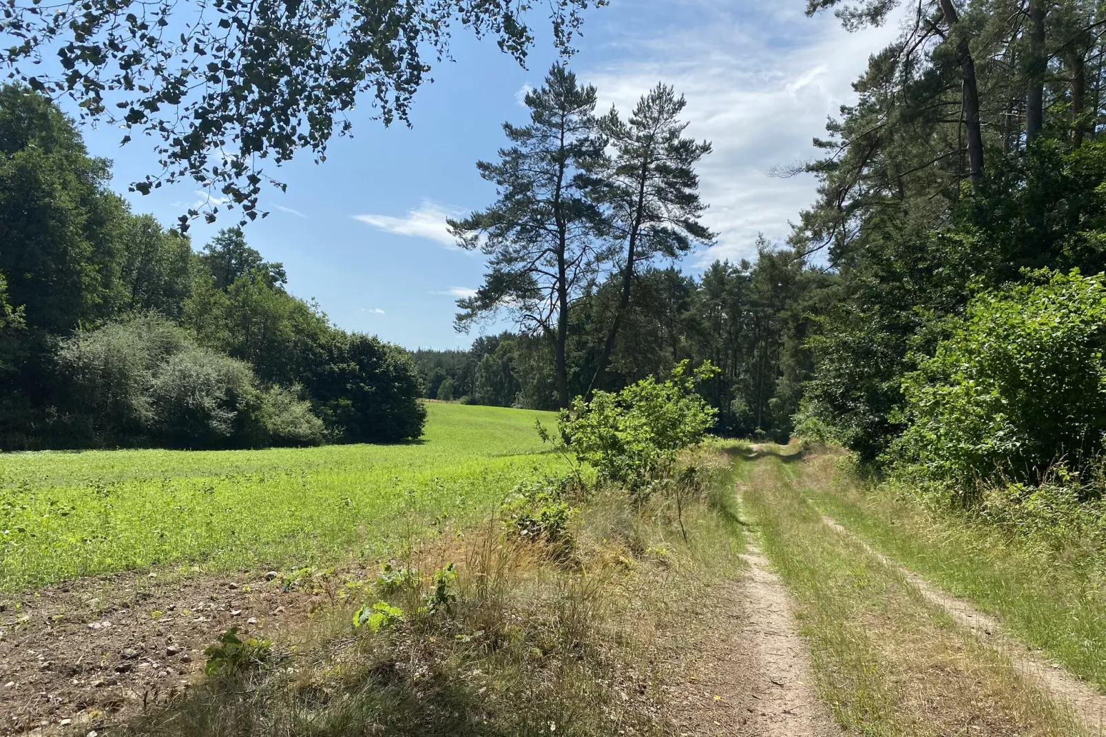 Familienurlaub in der Natur-Gebieden zomer 1km