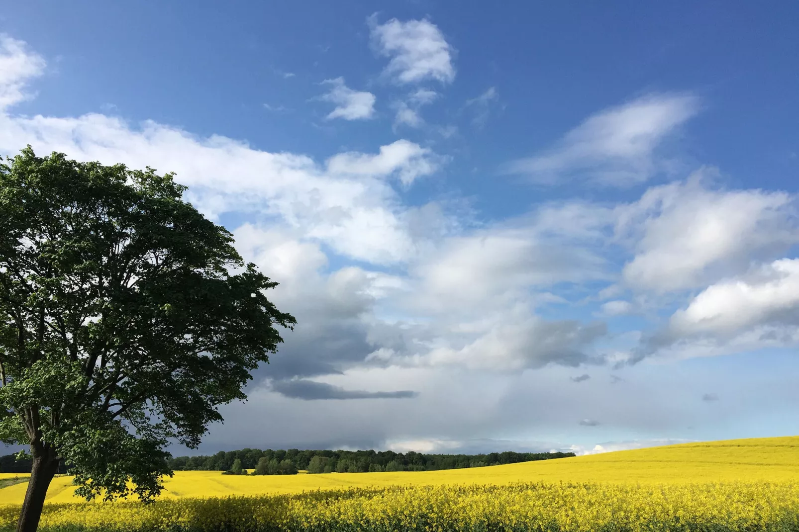 Familienurlaub in der Natur-Gebieden zomer 1km