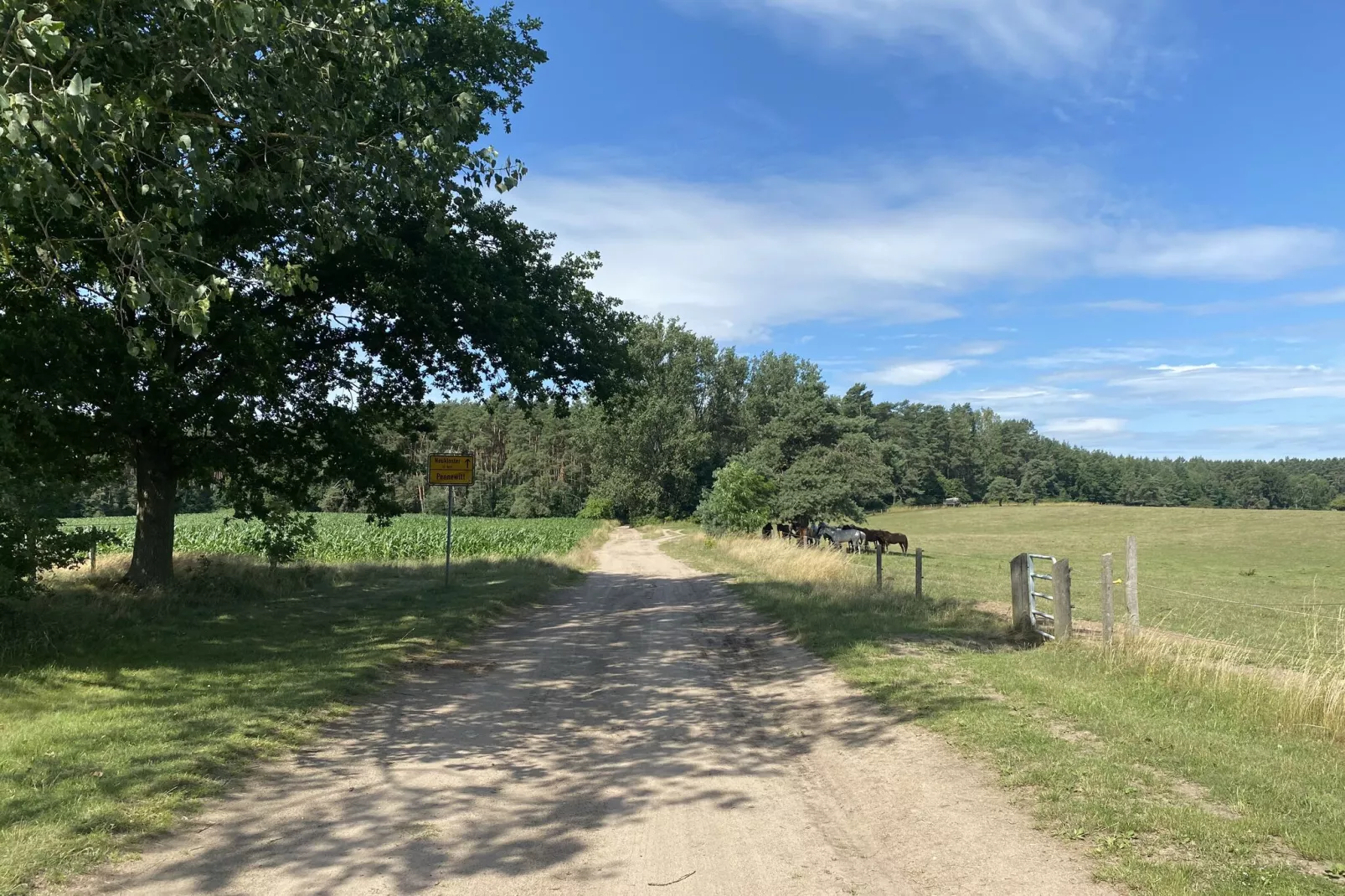 Familienurlaub in der Natur-Gebieden zomer 1km