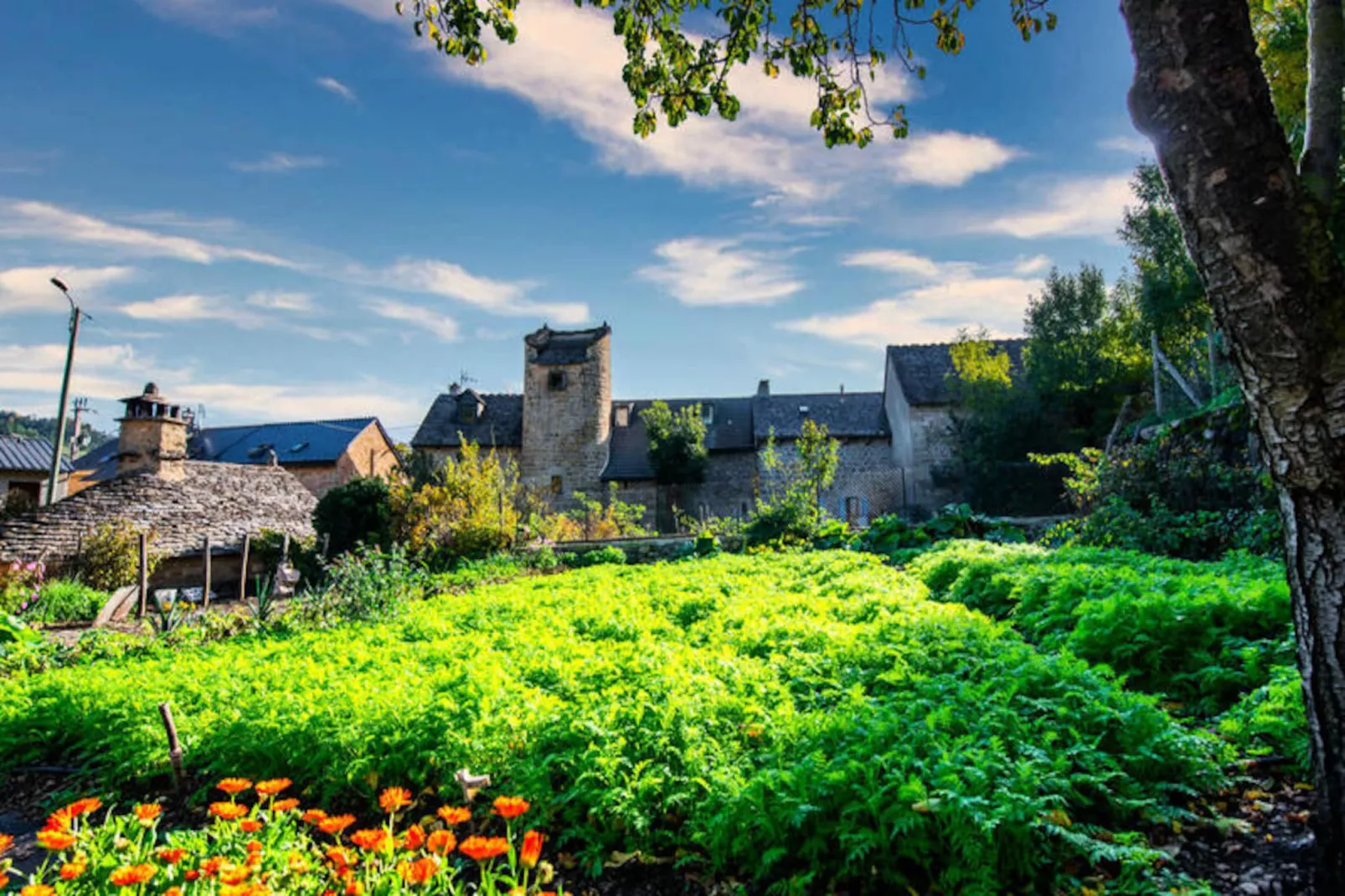 Gîte de France Le gîte du truc de balduc 3 épis