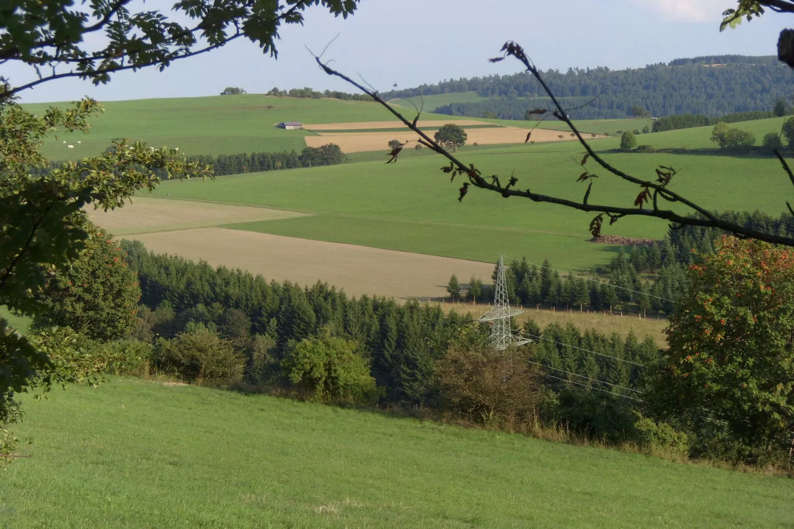 Willingen-Gebieden zomer 5km