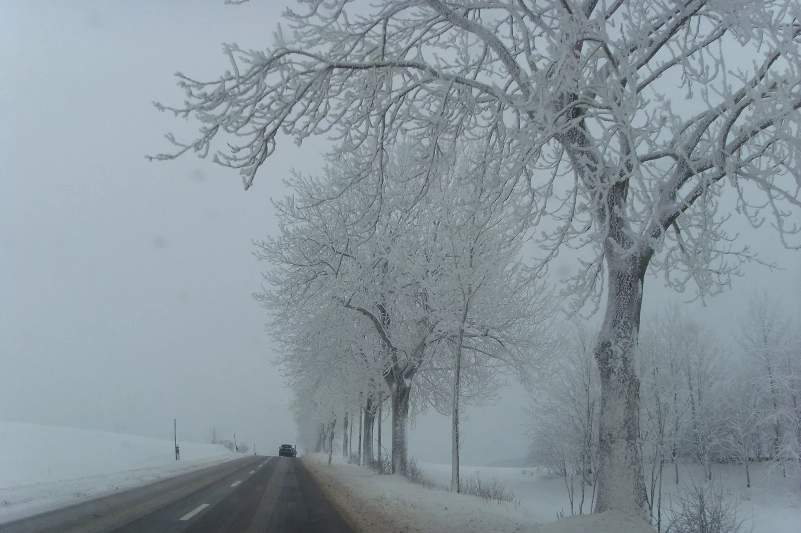 Willingen-Gebied winter 5km