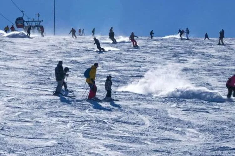 Willingen-Gebied winter 20km