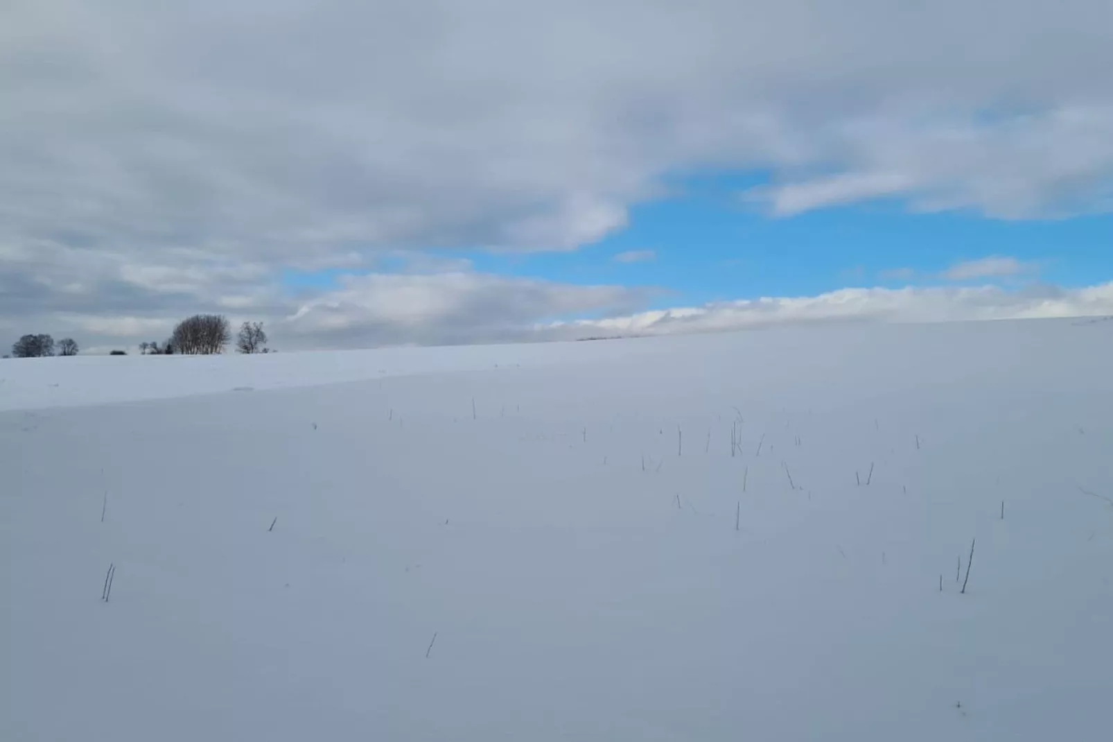 Edergarten-Gebied winter 5km
