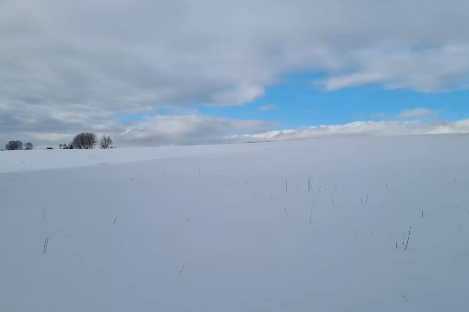 Edergarten-Gebied winter 5km