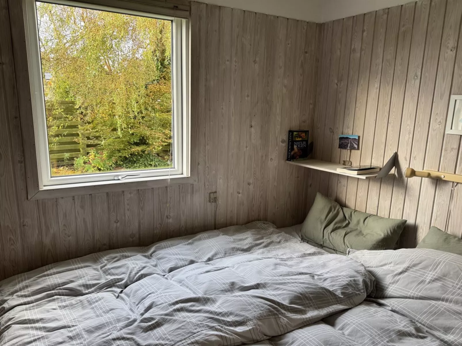 "Kalle" -  from the sea-Binnen