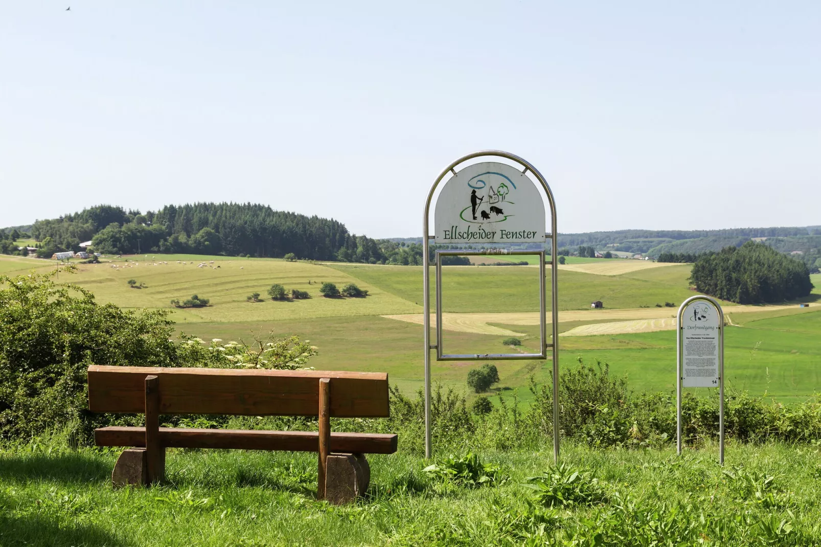 Willy EG-Gebieden zomer 5km