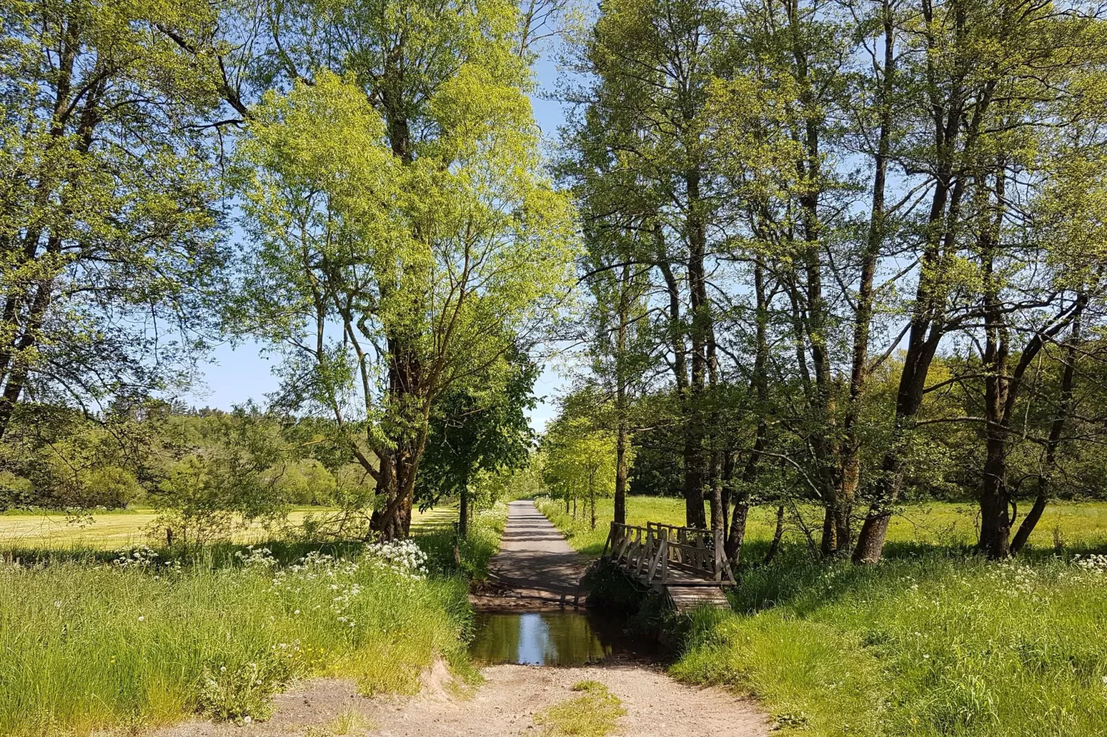 Ferienhaus Rühlen-Gebieden zomer 5km