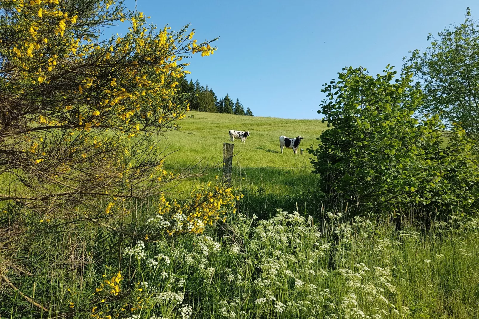 Ferienhaus Rühlen-Gebieden zomer 5km