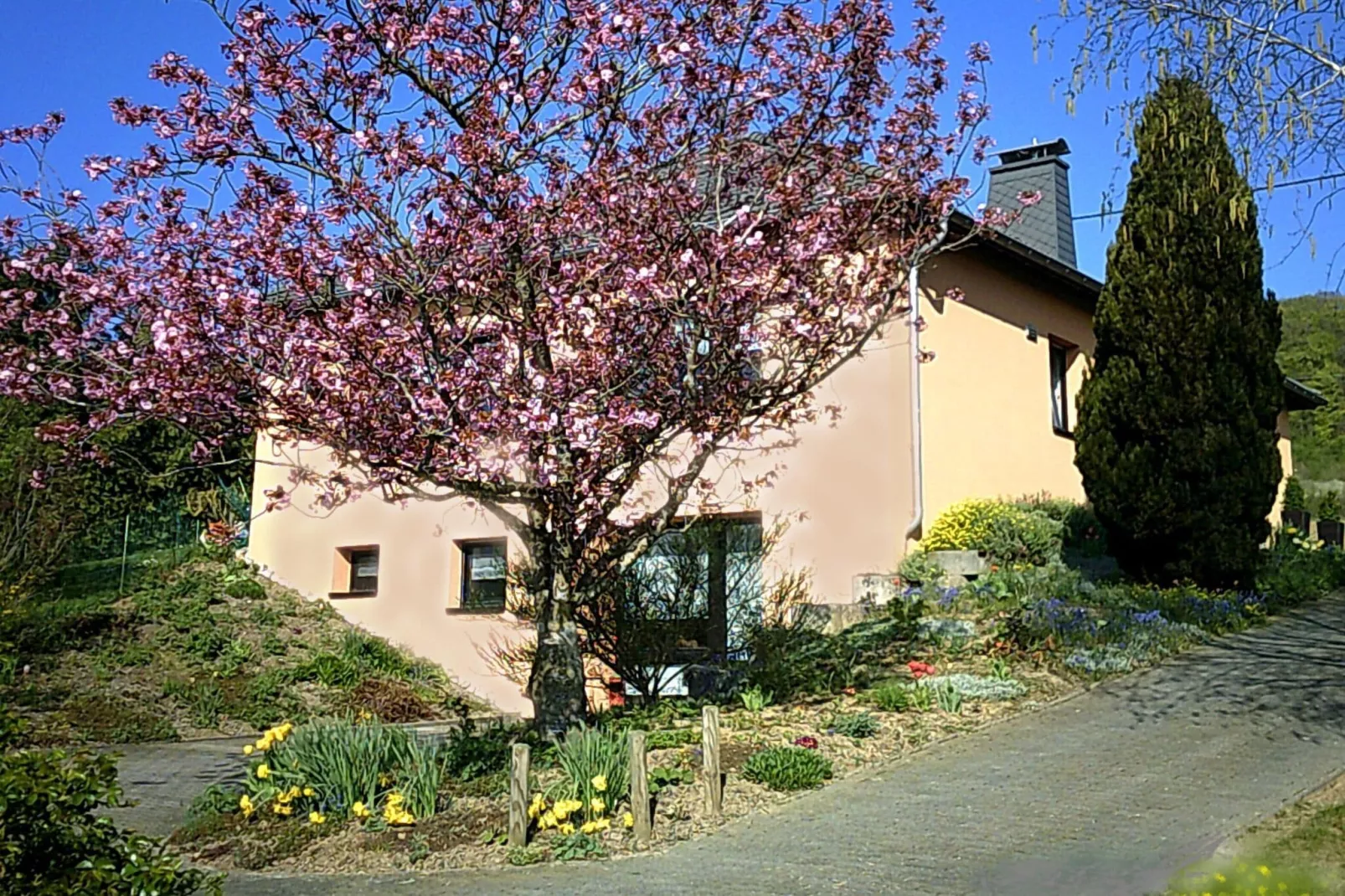 Am Schäferhof