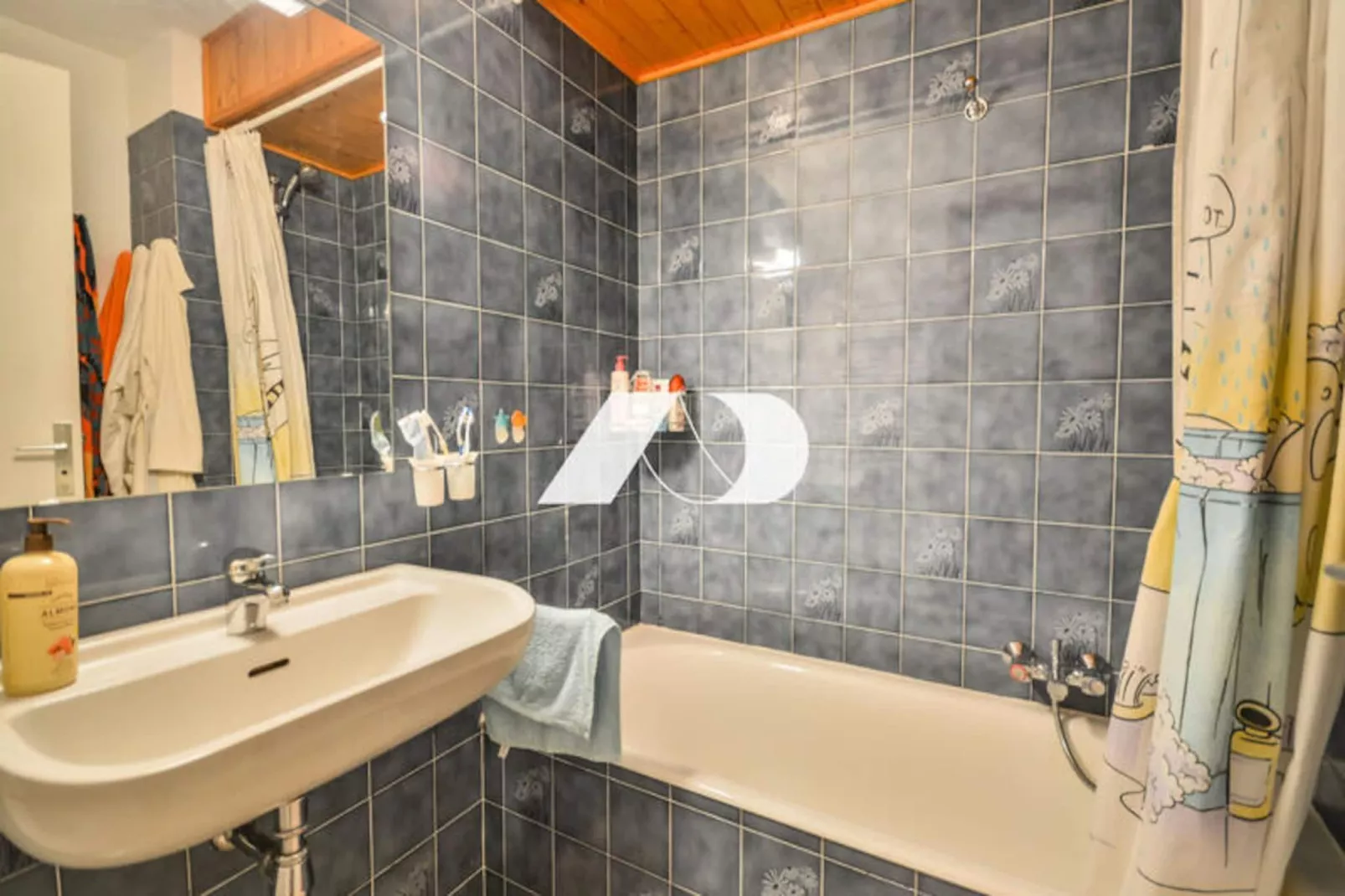 Appartements à Saint Jean d'Aulps-Niet-getagd