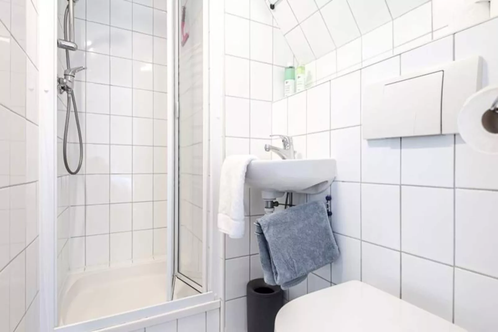 Albatros Aan Zee - Zandvoort-Niet-getagd