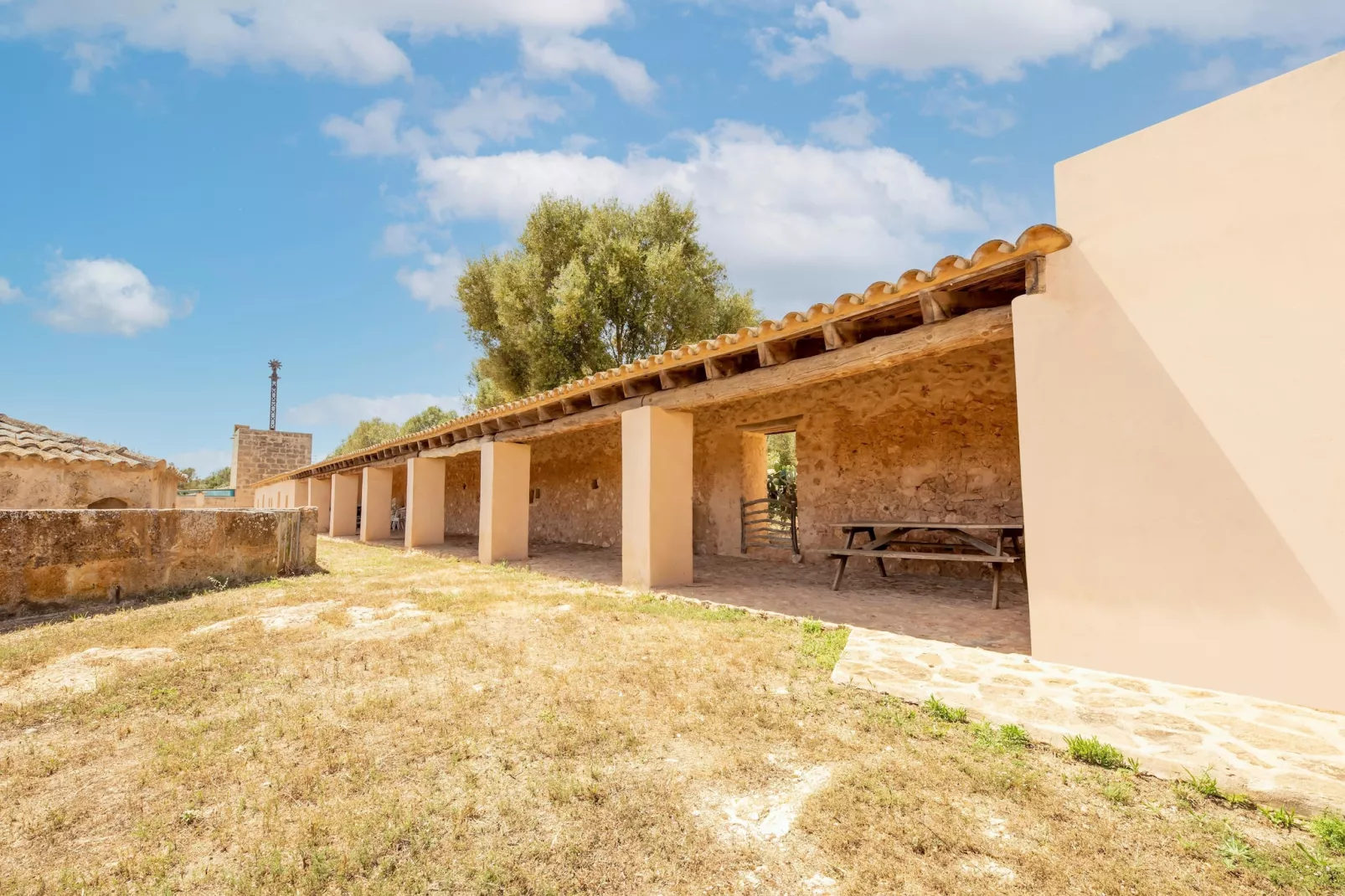 Gallinero-Buitenkant zomer