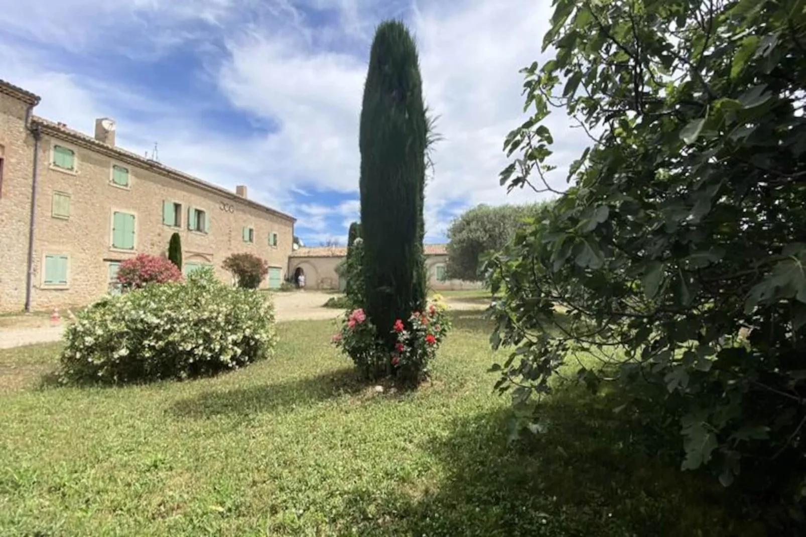 Magnifique Appartement Au C&oelig;ur Des Champs De Lavande - 6 - 7 Personnes-Niet-getagd