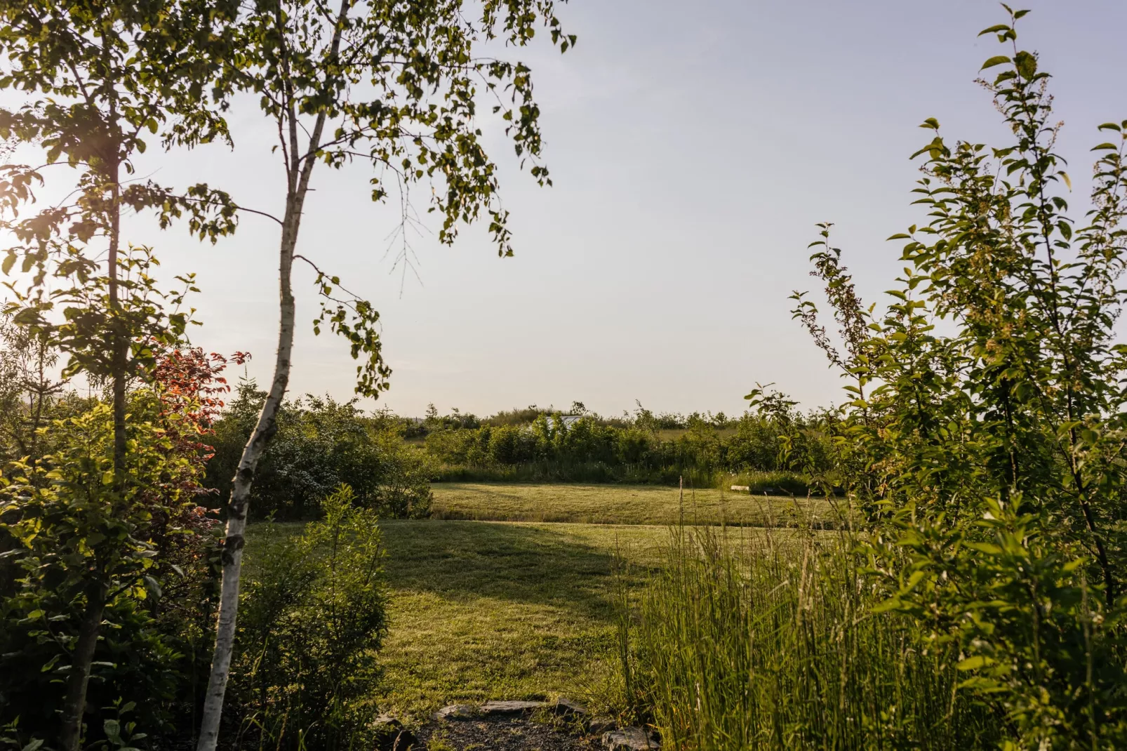 EcoLodge Sauerland 1-Gebieden zomer 1km