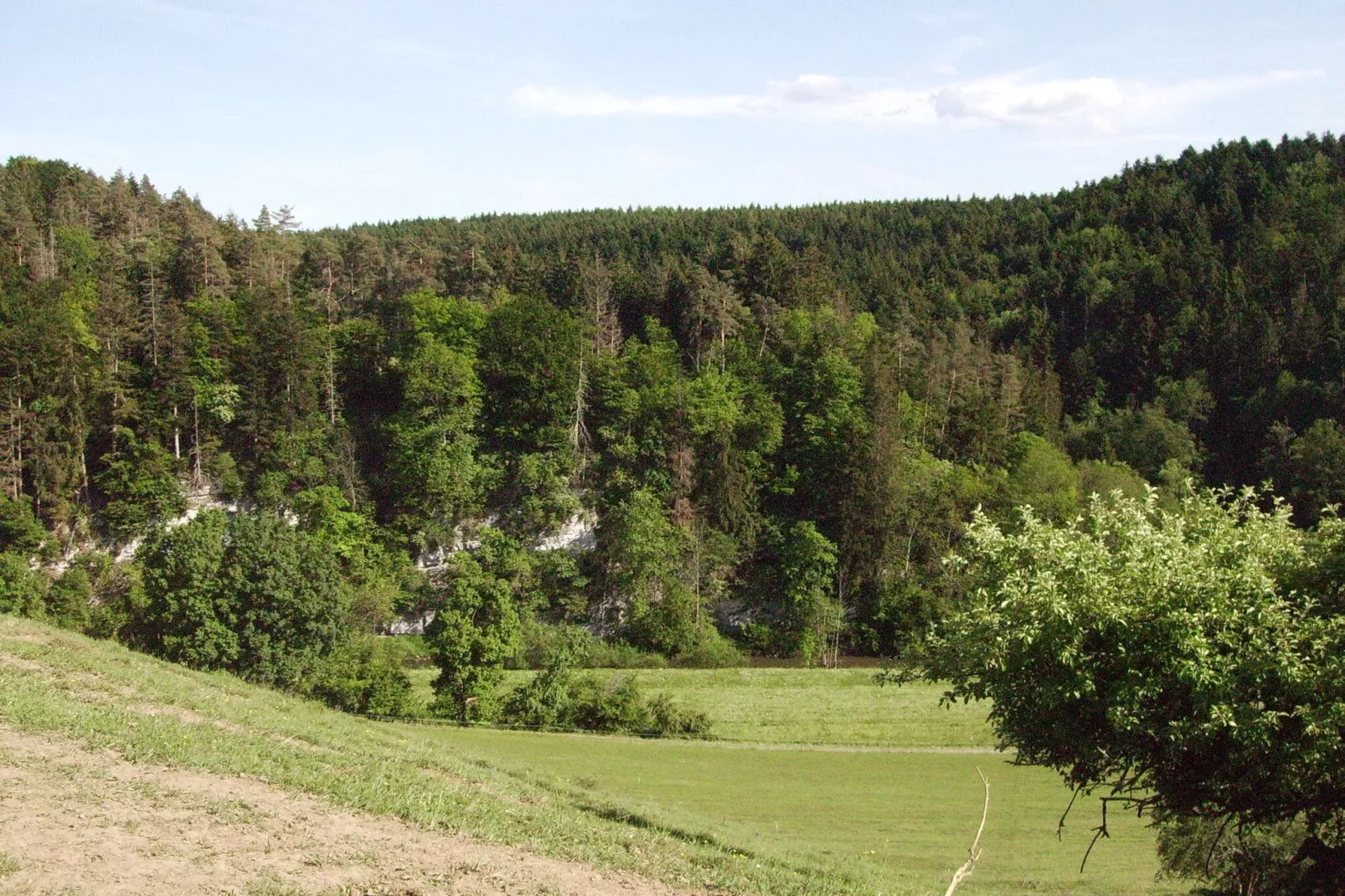 Niedereschach-Gebieden zomer 1km