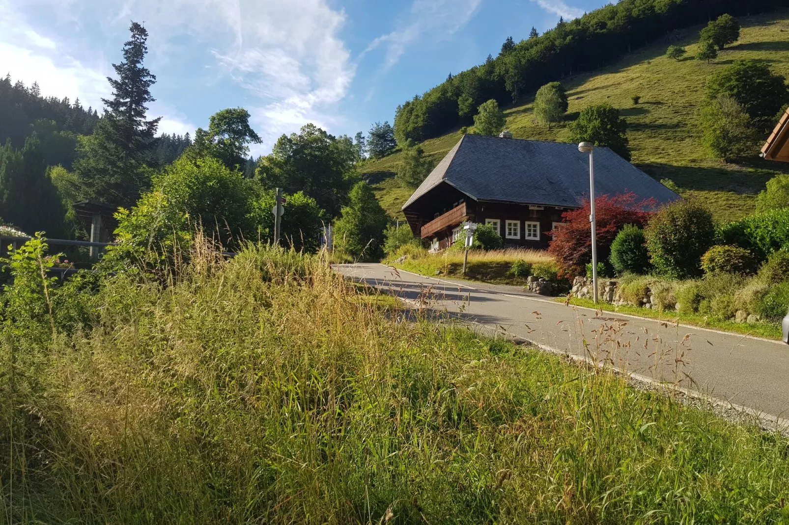 Brandenberg-Gebieden zomer 1km