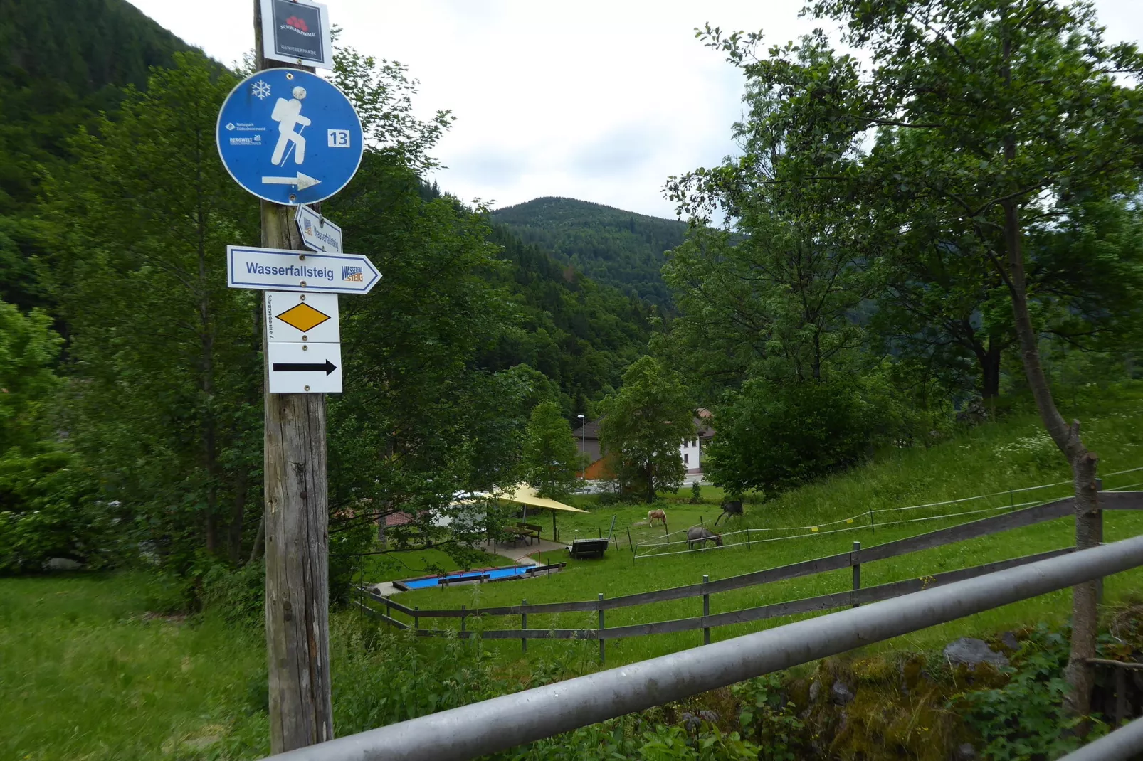 Brandenberg-Gebieden zomer 1km