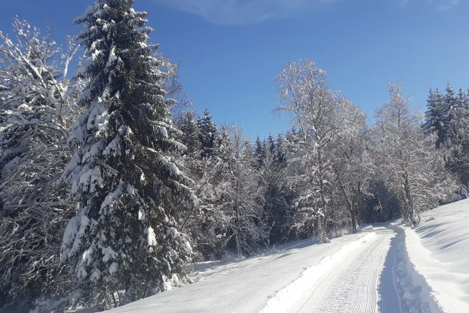 Altes Forsthaus-Gebieden zomer 1km