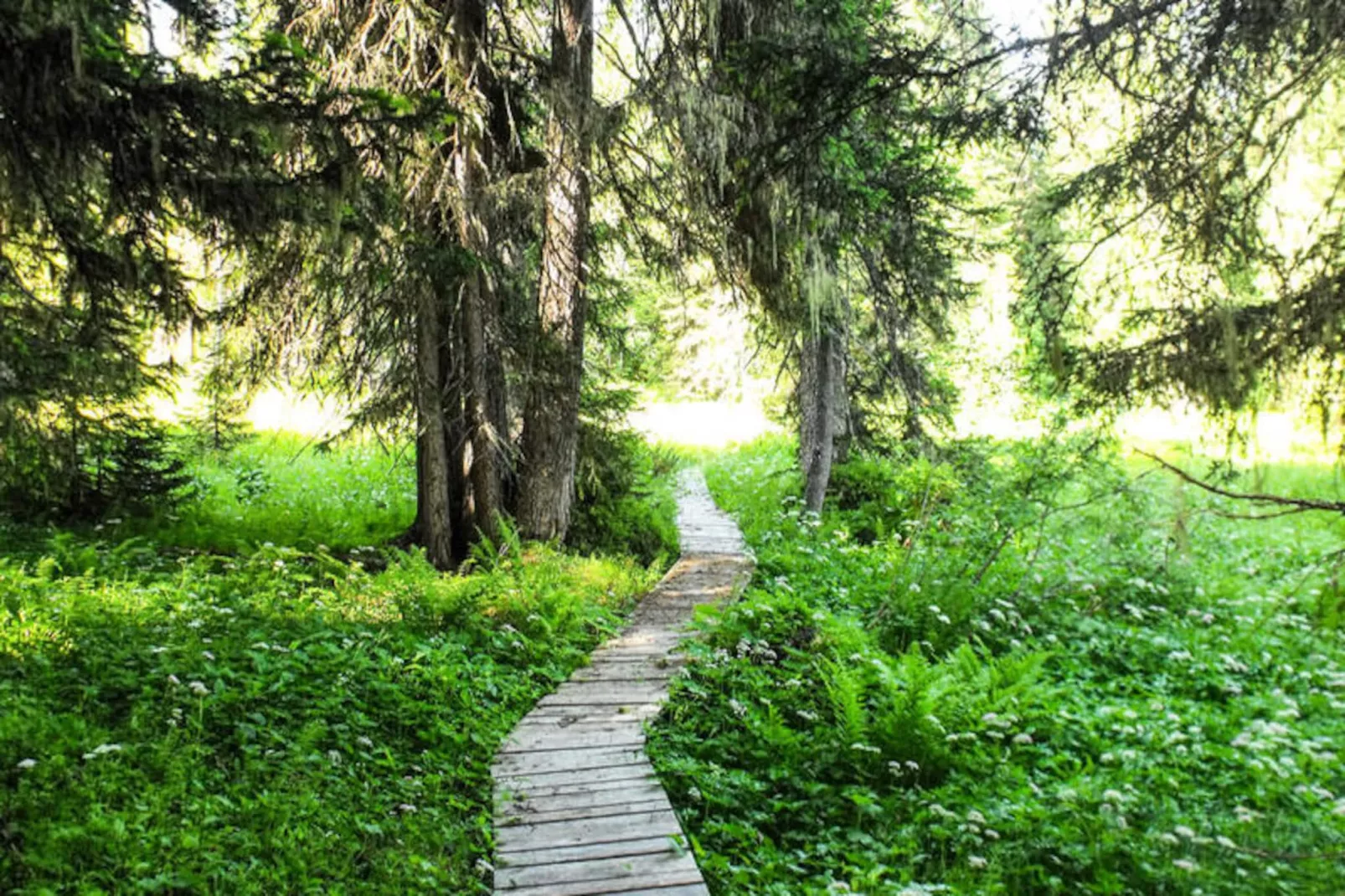 Résidence Les Adrelles-Niet-getagd