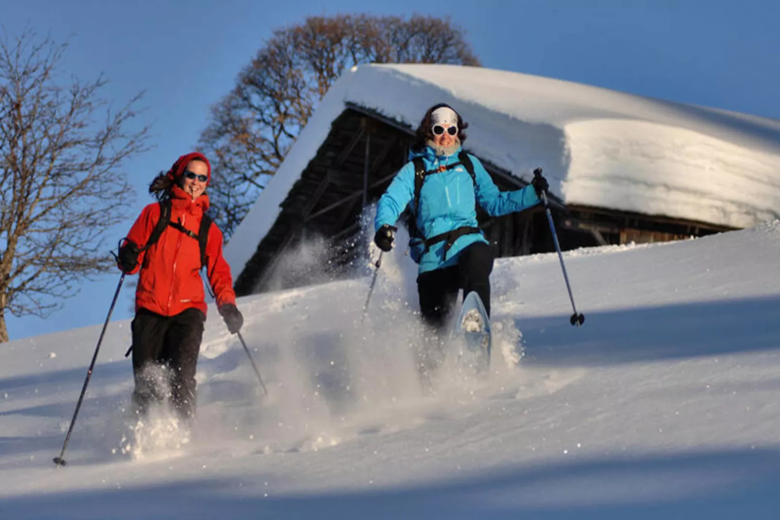 Chalet Le Buset-Niet-getagd