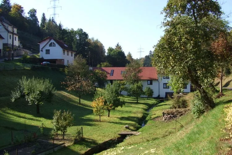 Landferienhof Schmidt-Tuinen zomer