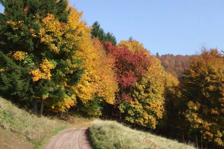 Landferienhof Schmidt-Hal-ontvangst