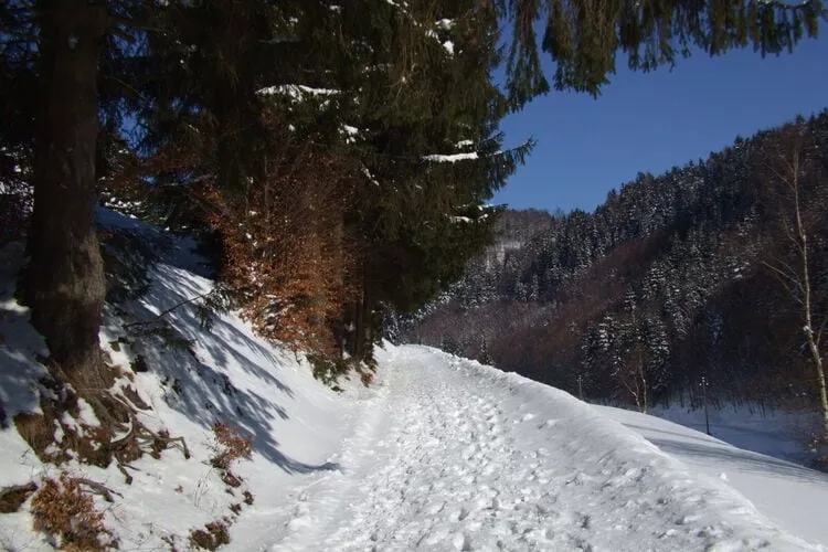 Landferienhof Schmidt-Gebied winter 1km