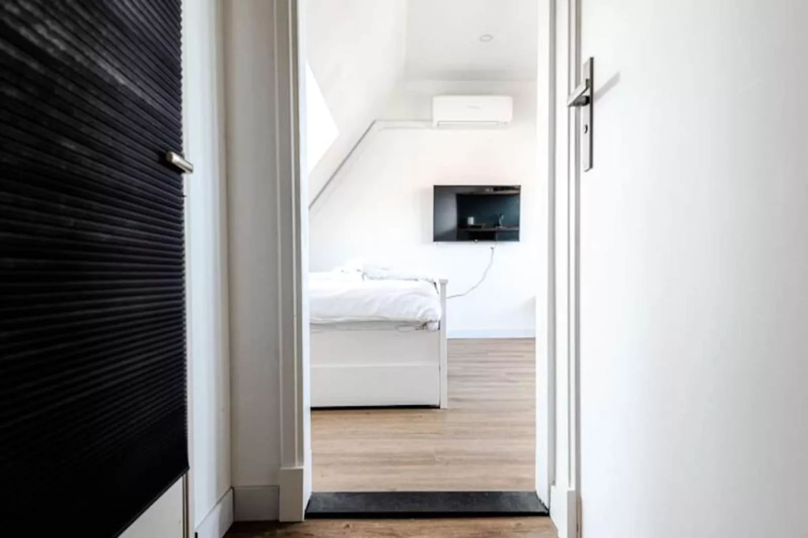 Albatros Aan Zee - Studio-Niet-getagd